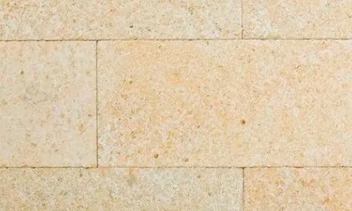 Дербентский ракушечник — образец из каталога